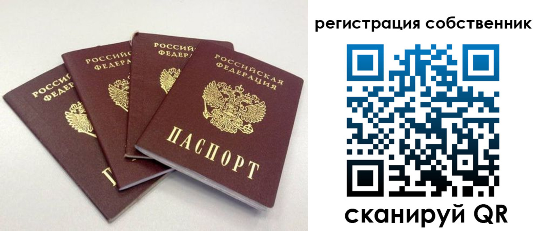 прописка для школы в Партизанске
